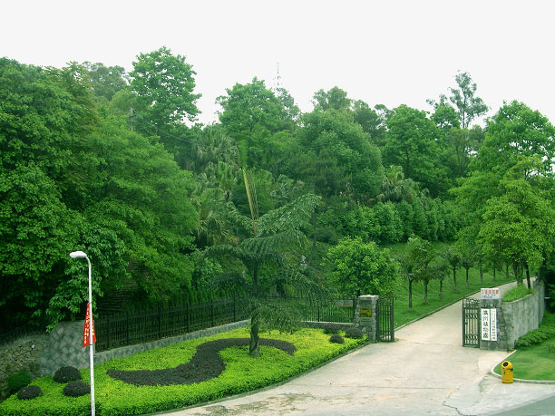 植物园