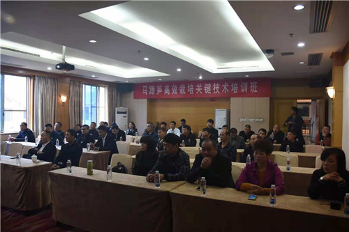 瑞安高楼人口_瑞安·雷诺兹(2)